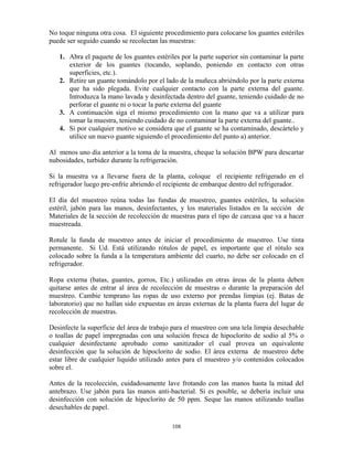108
No toque ninguna otra cosa. El siguiente procedimiento para colocarse los guantes estériles
puede ser seguido cuando se recolectan las muestras:
1. Abra el paquete de los guantes estériles por la parte superior sin contaminar la parte
exterior de los guantes (tocando, soplando, poniendo en contacto con otras
superficies, etc.).
2. Retire un guante tomándolo por el lado de la muñeca abriéndolo por la parte externa
que ha sido plegada. Evite cualquier contacto con la parte externa del guante.
Introduzca la mano lavada y desinfectada dentro del guante, teniendo cuidado de no
perforar el guante ni o tocar la parte externa del guante
3. A continuación siga el mismo procedimiento con la mano que va a utilizar para
tomar la muestra, teniendo cuidado de no contaminar la parte externa del guante..
4. Si por cualquier motivo se considera que el guante se ha contaminado, descártelo y
utilice un nuevo guante siguiendo el procedimiento del punto a) anterior.
Al menos uno día anterior a la toma de la muestra, cheque la solución BPW para descartar
nubosidades, turbidez durante la refrigeración.
Si la muestra va a llevarse fuera de la planta, coloque el recipiente refrigerado en el
refrigerador luego pre-enfríe abriendo el recipiente de embarque dentro del refrigerador.
El día del muestreo reúna todas las fundas de muestreo, guantes estériles, la solución
estéril, jabón para las manos, desinfectantes, y los materiales listados en la sección de
Materiales de la sección de recolección de muestras para el tipo de carcasa que va a hacer
muestreada.
Rotule la funda de muestreo antes de iniciar el procedimiento de muestreo. Use tinta
permanente. Si Ud. Está utilizando rótulos de papel, es importante que el rótulo sea
colocado sobre la funda a la temperatura ambiente del cuarto, no debe ser colocado en el
refrigerador.
Ropa externa (batas, guantes, gorros, Etc.) utilizadas en otras áreas de la planta deben
quitarse antes de entrar al área de recolección de muestras o durante la preparación del
muestreo. Cambie temprano las ropas de uso externo por prendas limpias (ej. Batas de
laboratorio) que no hallan sido expuestas en áreas externas de la planta fuera del lugar de
recolección de muestras.
Desinfecte la superficie del área de trabajo para el muestreo con una tela limpia desechable
o toallas de papel impregnadas con una solución fresca de hipoclorito de sodio al 5% o
cualquier desinfectante aprobado como sanitizador el cual provea un equivalente
desinfección que la solución de hipoclorito de sodio. El área externa de muestreo debe
estar libre de cualquier liquido utilizado antes para el muestreo y/o contenidos colocados
sobre el.
Antes de la recolección, cuidadosamente lave frotando con las manos hasta la mitad del
antebrazo. Use jabón para las manos anti-bacterial. Si es posible, se debería incluir una
desinfección con solución de hipoclorito de 50 ppm. Seque las manos utilizando toallas
desechables de papel.
 