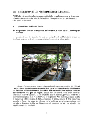 13
VII. DESCRIPCIÓN DE LOS PROCEDIMIENTOS DEL PROCESO.
NOTA: En este capitulo se hace una descripción de los procedimientos que se siguen para
procesar los animales en las salas de faenamiento. Estos procesos deben ser ajustados a
cada planta en particular.
1. Faenamiento de Ganado Bovino
a) Recepción de Ganado e Inspección Ante-mortem. Lavado de los Animales para
Sacrificio
La recepción de los animales la hace un empleado del establecimiento el cual los
conduce a un corral en donde permanecen hasta el momento de la inspección.
La inspección ante–mortem, es realizada por el medico veterinario oficial del SESPAS
(Nota: En este escrito se denominara con estas siglas a la entidad oficial encargada de
las funciones de control sanitario en Centros de Faenamiento, este nombre cambiará
de acuerdo con cada país y/o región), el cual hace un examen visual de los animales,
verificando su estado de salud. Si son aprobados para el sacrificio, procede a completar la
información solicitada en la “Tarjeta Oficial de Inspección Ante-mortem”, e la cual escribe
el número de establecimiento, la fecha, el número de corral, número de lote, número de
animales y firma. La tarjeta es colocada en la casilla del corral correspondiente y es
enviada al Inspector Oficial de Matanza en el momento en que los animales son
movilizados para el sacrificio.
 