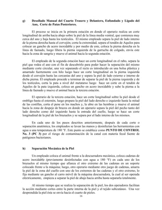 16
g) Desollado Manual del Cuarto Trasero y Delantero, Enfundado y Ligado del
Ano, Corte de Patas Posteriores.
El proceso se inicia en la primera estación en donde el operario realiza un corte
longitudinal de arriba hacia abajo sobre la piel de la línea media ventral, que comienza muy
cerca del ano y baja hasta los testículos. El mismo empleado separa la piel de lado interno
de la pierna derecha hasta el corvejón; corta la extremidad, separa el tendón de Aquiles para
colocar un gancho de acero inoxidable y por medio de este, coloca la pierna derecha en la
línea de faenado, luego libera la pierna izquierda de la garrucha de colgado, envía este
hacia la zona de sangría y mueve el animal hacia la segunda estación.
El empleado de la segunda estación hace un corte longitudinal en el rabo, separa la
piel que rodea el ano con el fin de descubrirlo para poder hacer la separación del mismo
mediante corte circular, una vez separando el recto es introducido en una bolsa plástica y
amarrado fuertemente con hilo luego hace un corte longitudinal en la pierna izquierda
desde el corvejón hasta las cercanías del ano y separa la piel de lado externo e interno de
dicha pierna. El empleado procede a terminar de separar la piel de la pierna izquierda y de
los testículos, corta la pata a nivel del metatarso luego hace un corte en el tendón de
Aquiles de la pata izquierda, coloca un gancho en acero inoxidable y sube la pierna a la
línea de faenado y mueve el animal hacia la tercera estación.
El operario de la tercera estación, hace un corte longitudinal sobre la piel desde el
ombligo hasta el esternón, luego prepara la piel del lado derecho e izquierdo hasta la mitad
de las costillas, corta el pene en los machos y, la ubre en las hembras y mueve el animal
hacia la zona de despeje de brazos en donde un operario separa la piel del pecho tanto del
lado derecho como del izquierdo hasta la entrada del cuello, luego se hace un corte
longitudinal de la piel de los brazuelos y se separa por el lado interno de los mismos.
En cada uno de los pasos descritos anteriormente, después de cada corte o
separación anatómica, los empleados se lavan las manos y desinfectan las herramientas con
agua a una temperatura de 180 F. Este punto se establece como PUNTO DE CONTROL
No. 3 (PC 3) por el riesgo de contaminación de la canal con materia fecal fuente de
patógenos bacterianos.
h) Separación Mecánica de la Piel
Un empleado coloca el animal frente a la descueradora mecánica, coloca cadenas de
acero inoxidable (previamente desinfectadas con agua a 180 F) en cada uno de los
brazuelos al mismo tiempo que afianza el otro extremo de las cadenas en un soporte
colocado frente a la máquina; luego, otro operario mediante otro juego de cadenas, amarra
la piel de la zona del cuello con uno de los extremos de las cadenas y el otro extremo, lo
fija mediante un gancho al carro móvil de la máquina descueradora, la cual al ser operada
eléctricamente, empieza a separar la piel de abajo hacia arriba hasta separarla totalmente.
Al mismo tiempo que se realiza la separación de la piel, los dos operadores facilitan
la acción mediante cortes entre la parte interna de la piel y el tejido subcutáneo. Una vez
desprendida la piel ésta se envía hacia el cuarto de pieles.
 