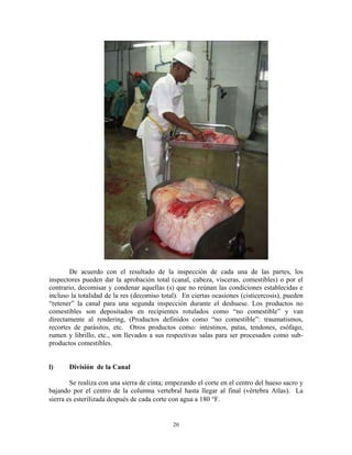 20
De acuerdo con el resultado de la inspección de cada una de las partes, los
inspectores pueden dar la aprobación total (canal, cabeza, vísceras, comestibles) o por el
contrario, decomisar y condenar aquellas (s) que no reúnan las condiciones establecidas e
incluso la totalidad de la res (decomiso total). En ciertas ocasiones (cisticercosis), pueden
“retener” la canal para una segunda inspección durante el deshuese. Los productos no
comestibles son depositados en recipientes rotulados como “no comestible” y van
directamente al rendering, (Productos definidos como “no comestible”: traumatismos,
recortes de parásitos, etc. Otros productos como: intestinos, patas, tendones, esófago,
rumen y librillo, etc., son llevados a sus respectivas salas para ser procesados como sub-
productos comestibles.
l) División de la Canal
Se realiza con una sierra de cinta; empezando el corte en el centro del hueso sacro y
bajando por el centro de la columna vertebral hasta llegar al final (vértebra Atlas). La
sierra es esterilizada después de cada corte con agua a 180 F.
 
