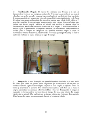 29
b) Aturdimiento: Después del reposo los animales son llevados a la sala de
faenamiento a través de una manga de conducción. El corralero, por medio de una pica de
pilas, hace mover los animales para que ingresen al cajón de aturdimiento. Una vez dentro
de este compartimiento, un operario coloca la pinza eléctrica de aturdimiento en la frente
del animal para provocar el aturdido. La pinza debe trabajar a un voltaje de 80 voltios y 15
amperios con el fin de que provoque un noqueo adecuado y se de tiempo suficiente para
realizar una buena sangría. Mientras el animal está aturdido el corazón sigue en
funcionamiento permitiendo una buena evacuación de la sangre. El animal cae aturdido al
piso del cajón, el operario abre la compuerta del cajón y el animal rueda sobre una mesa de
rodillos para la sangría. Es obligación del operario mantener limpio el cajón de
aturdimiento durante el sacrificio para retirar las suciedades que se produzcan y al final de
las labores realizara un aseo a fondo de su lugar de trabajo.
c) Sangría: En la mesa de sangría, un operario introduce el cuchillo en la zona media
del cuello para cortar los grandes vasos sanguíneos que se encuentran en esa parte del
cuerpo del animal y provocar la sangría. Después de cada sangría, el operario lavará sus
manos y esterilizará el cuchillo. Dos operarios localizados a cada lado de la mesa de
sangría, acomodan los animales sobre los rodillos y los van descargando al tanque de
escaldado en forma rotativa en intervalos de tiempo de uno, cada minuto. La sangría
efectiva de un animal debe realizarse en un tiempo mínimo de 4 minutos. Los operarios
deben lavarse las manos permanentemente durante la jornada de trabajo.
 