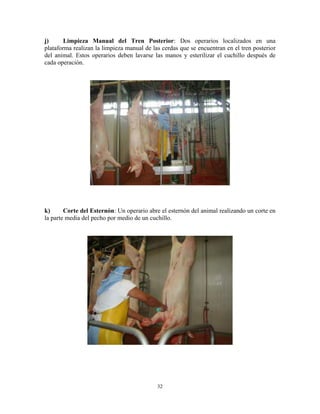 32
j) Limpieza Manual del Tren Posterior: Dos operarios localizados en una
plataforma realizan la limpieza manual de las cerdas que se encuentran en el tren posterior
del animal. Estos operarios deben lavarse las manos y esterilizar el cuchillo después de
cada operación.
k) Corte del Esternón: Un operario abre el esternón del animal realizando un corte en
la parte media del pecho por medio de un cuchillo.
 