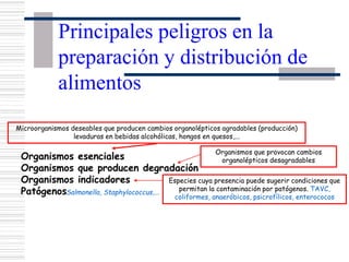 Principales peligros en la
preparación y distribución de
alimentos
Especies cuya presencia puede sugerir condiciones que
permitan la contaminación por patógenos. TAVC,
coliformes, anaeróbicos, psicrofílicos, enterococos
Organismos esenciales
Organismos que producen degradación
Organismos indicadores
PatógenosSalmonella, Staphylococcus,...
Microorganismos deseables que producen cambios organolépticos agradables (producción)
levaduras en bebidas alcohólicas, hongos en quesos,...
Organismos que provocan cambios
organolépticos desagradables
 
