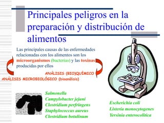 Principales peligros en la
preparación y distribución de
alimentos
Las principales causas de las enfermedades
relacionadas con los alimentos son los
microorganismos (bacterias) y las toxinas
producidas por ellos
ANÁLISIS MICROBIOLÓGICO (bioanálisis)
ANÁLISIS (BIO)QUÍMICO
Salmonella
Campylobacter jejuni
Clostridium perfringens
Staphylococcus aureus
Clostridium botulinum
Escherichia coli
Listeria monocytogenes
Yersinia enterocolitica
 
