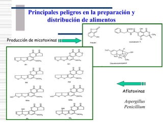 Producción de micotoxinas
Aflatoxinas
Aspergillus
Penicillium
Principales peligros en la preparación y
distribución de alimentos
 