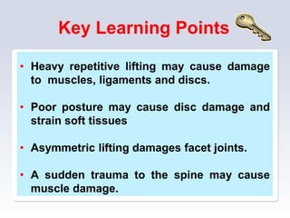 Key Learning Points
• Heavy repetitive lifting may cause damage
to muscles, ligaments and discs.
• Poor posture may cause disc damage and
strain soft tissues
• Asymmetric lifting damages facet joints.
• A sudden trauma to the spine may cause
muscle damage.
 