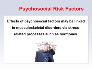 Psychosocial Risk Factors
Effects of psychosocial factors may be linked
to musculoskeletal disorders via stress-
related processes such as hormones.
 