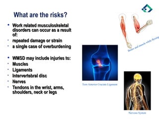 What are the risks?
 Work related musculoskeletal
Work related musculoskeletal
disorders can occur as a result
disorders can occur as a result
of:
of:
• repeated damage or strain
repeated damage or strain
• a single case of overburdening
a single case of overburdening
 WMSD may include injuries to:
WMSD may include injuries to:
• Muscles
Muscles
• Ligaments
Ligaments
• Intervertebral disc
Intervertebral disc
• Nerves
Nerves
• Tendons in the wrist, arms,
Tendons in the wrist, arms,
shoulders, neck or legs
shoulders, neck or legs
Bones and muscle while flexing
Torn Anterior Cruciate Ligament
Nervous System
 