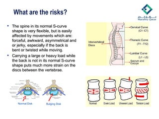 What are the risks?
 The spine in its normal S-curve
The spine in its normal S-curve
shape is very flexible, but is easily
shape is very flexible, but is easily
affected by movements which are:
affected by movements which are:
forceful, awkward, asymmetrical and
forceful, awkward, asymmetrical and
or jerky, especially if the back is
or jerky, especially if the back is
bent or twisted while moving.
bent or twisted while moving.
 Carrying a large or heavy load while
Carrying a large or heavy load while
the back is not in its normal S-curve
the back is not in its normal S-curve
shape puts much more strain on the
shape puts much more strain on the
discs between the vertebrae.
discs between the vertebrae.
Normal Disk Bulging Disk
 