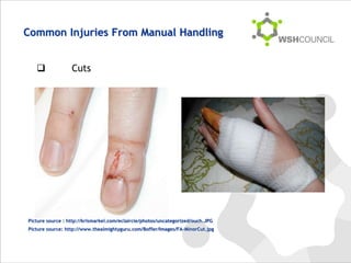 Hand Handling Figure Manual handling refers to the process of moving, carrying, lifting, or ...