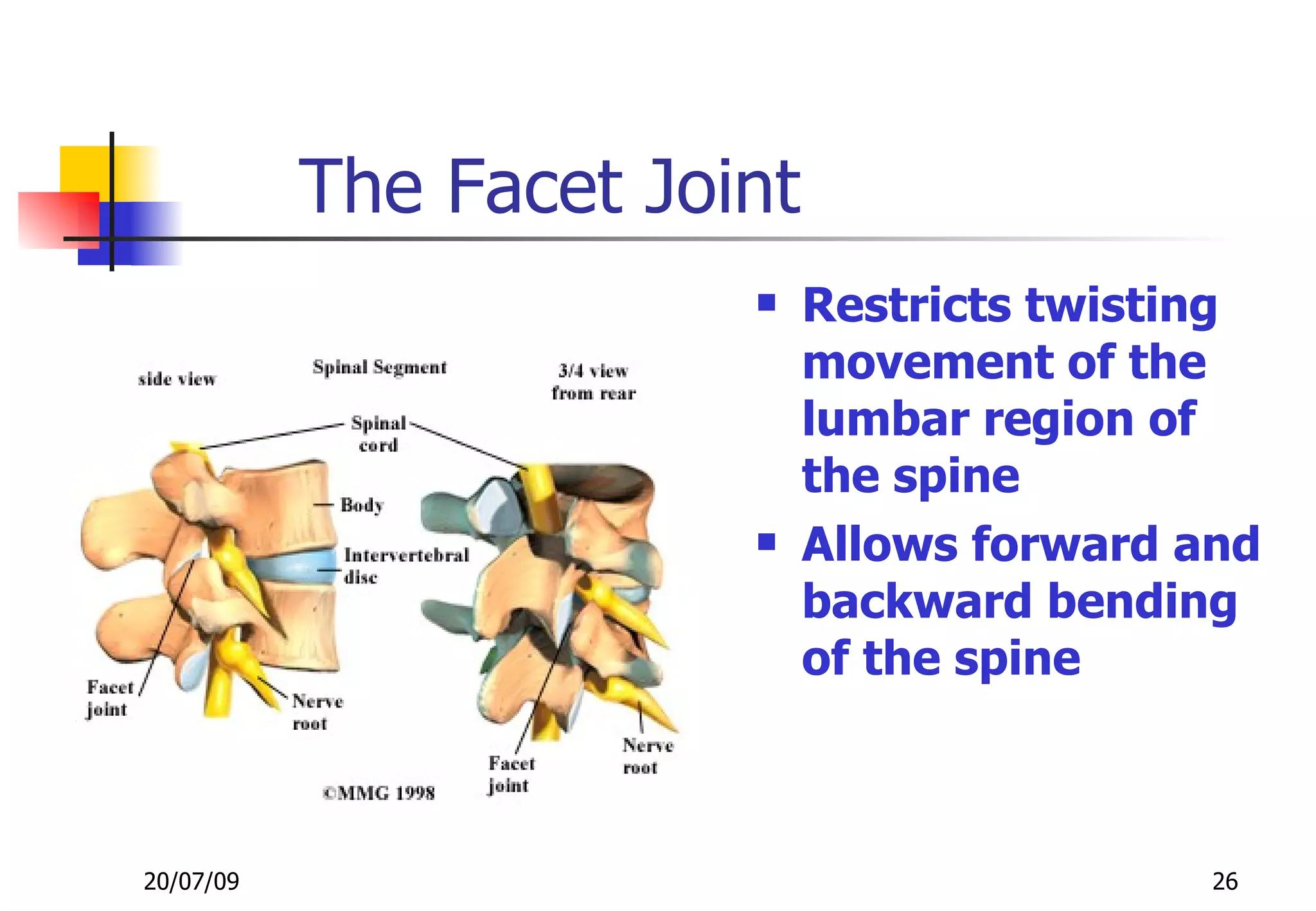 The Facet Joint
                            Restricts twisting
                             movement of the
                             lumbar region of
                             the spine
                            Allows forward and
                             backward bending
                             of the spine



20/07/09                                     26
 