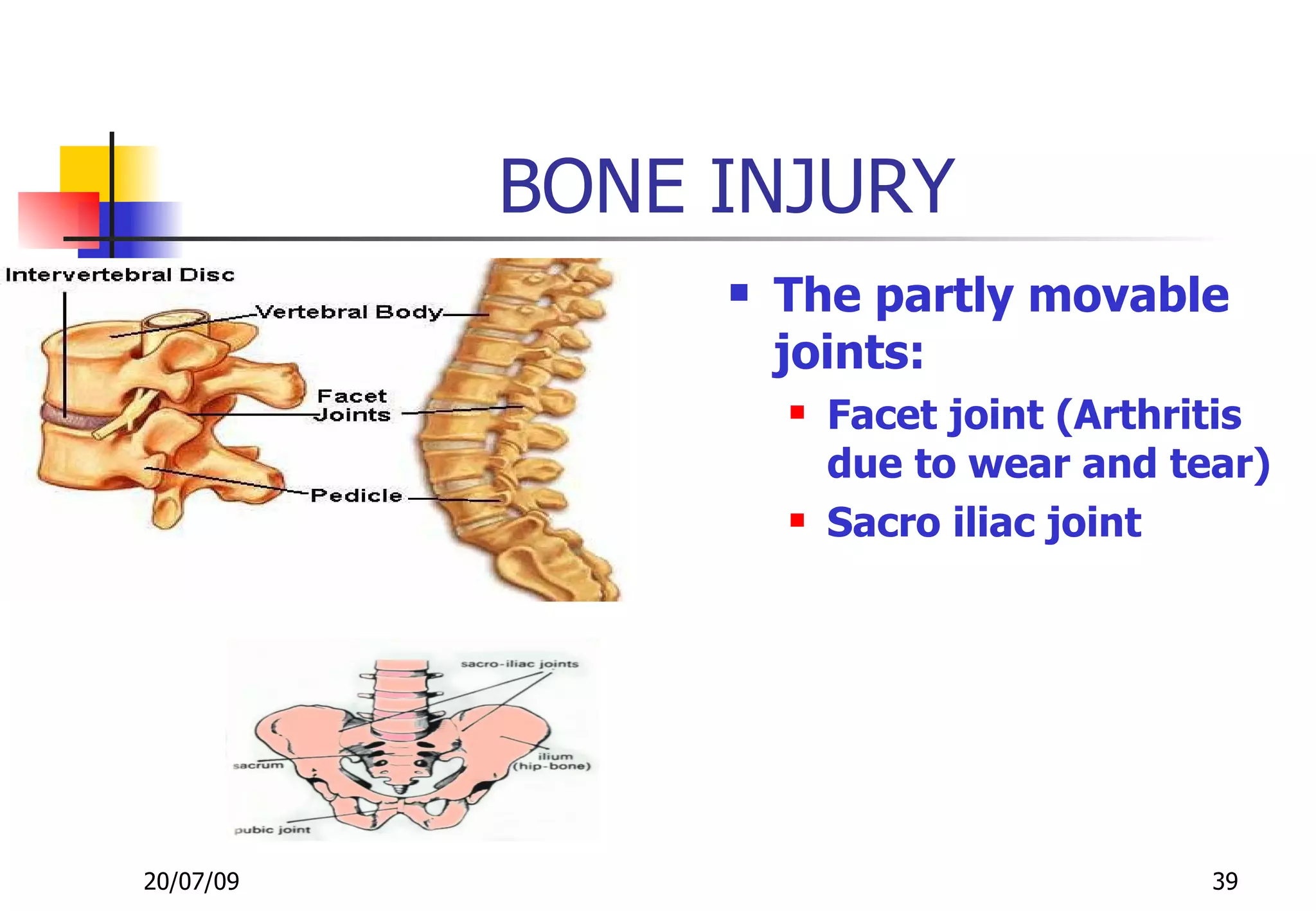 BONE INJURY
                   The partly movable
                    joints:
                       Facet joint (Arthritis
                        due to wear and tear)
                       Sacro iliac joint




20/07/09                                   39
 