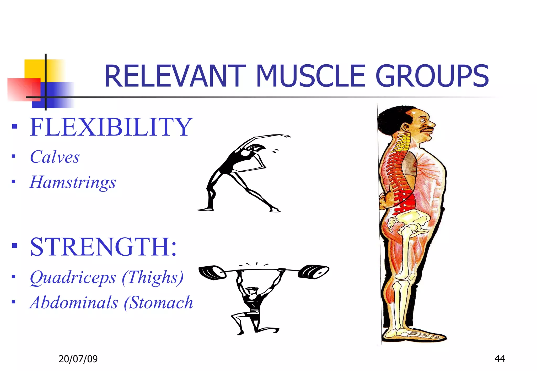 RELEVANT MUSCLE GROUPS
   FLEXIBILITY
   Calves
   Hamstrings


   STRENGTH:
   Quadriceps (Thighs)
   Abdominals (Stomach

       20/07/09                            44
 
