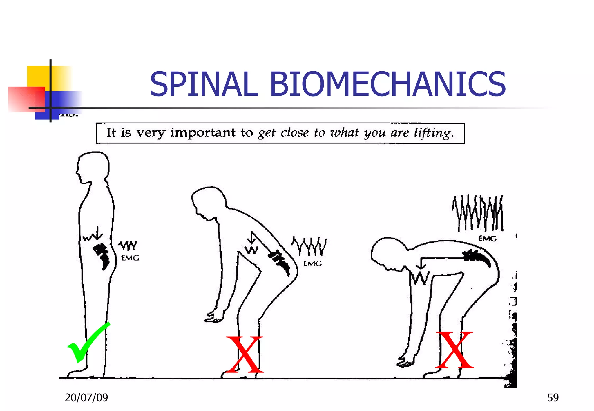 SPINAL BIOMECHANICS




              X          X
20/07/09                         59
 