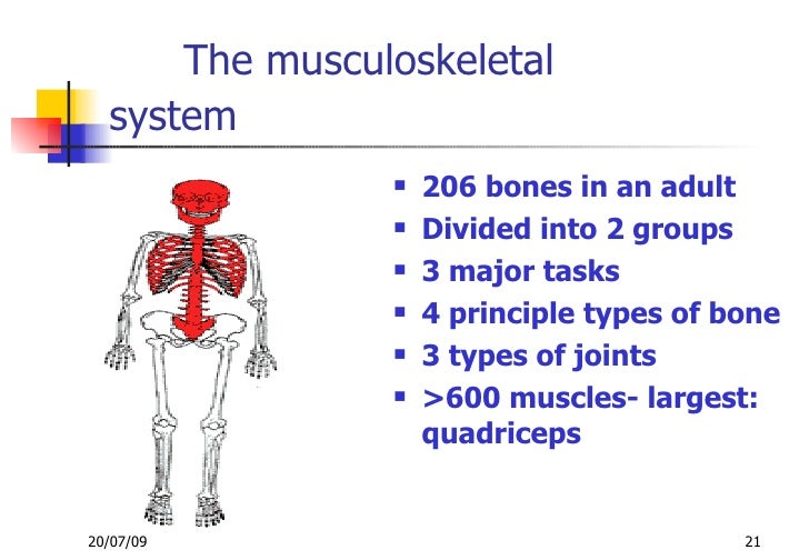 Manual Handling Of Loads