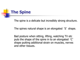 The Spine
The spine is a delicate but incredibly strong structure.
The spines natural shape is an elongated ‘S’ shape.
Bad posture when sitting, lifting, watching TV etc
puts the shape of the spine in to an elongated ‘C’
shape putting additional strain on muscles, nerves
and other tissues.
 