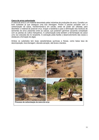 Casca de arroz carbonizada
A casca de arroz è um material descartado pelas indústrias de produções de arroz. Constitui um
bom substrato já que assegura uma boa drenagem. Porem è preciso proceder com a
carbonização da casca, transformando-a em carvão, antes de poder ser utilizada, para
desinfetar o material de possível vírus, fungos e bactérias e para a eliminação dos resíduos de
sementes de arroz presentes entre as cascas, que podariam germinar causando competição
com as plantas do cultivo hidropônico. A carbonização evita também a fermentação da casca
uma vez colocada ela no recipiente. A coloração preta facilita o desenvolvimento das raízes e
obstáculo a formação de algas

Ambos os substratos tem boas características químicas e físicas, como baixa taxa de
decomposição, boa drenagem, elevada aeração, são leves e baratos.




    Processo de carbonização da casca de arroz




                                                                                            10
 