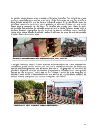 As garrafas são conectadas umas as outras em fileiras de 8 garrafas. Para conectá-las se usa
um ferro esquentado com o qual se fura a parte inferior de uma garrafa e no furo se enfia a
boca da outra garrafa. Em cima da fileira se praticam 2 furos de 5-6 cm de diâmetro todas as
garrafas e na primeira, outro menor para o gotejador e a ultima será fechada com uma tampa
furada para a mangueira de drenagem. As garrafas são enxadas com casca de arroz
carbonizada. Esta estrutura de produção aproximativamente tubular fechada, reduze muito a
perda de água por evaporação e também a entrada de água no período da chuva, impedindo
nesse ultimo caso a diluição da solução nutritiva. A utilização da casca de arroz carbonizada
impede o desenvolvimento de algas.




  Foramento e conexão das garrafas e seus enchimento com o substrato



A solução é colocada na caixa superior e através de uma mangueira de 32 mm, regulada com
uma torneira, passa no cano superior, que foi furado e onde foram colocados os micro-tubos
com os gotejadores para cada uma das fileiras. Por onde a solução passa em cada fileira de
garrafas e as plantas absorvem os nutrientes que precisam e o excesso sai da ultima garrafa
através de uma mangueira, conflui toda no cano inferior e através de outra mangueira se
recolhe na caixa inferior. O cano será colocado num desnível de 2% para facilitar a descida da
solução nutritiva, tanto para o cano superior como para o cano inferior.




   Colocação das fileras de garrafas na estrutura hidroponica




                                                                                           17
 