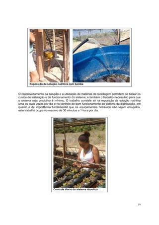 Reposição da solução nutritiva com bomba


O reaproveitamento da solução e a utilização de matérias de reciclagem permitem de baixar os
custos de instalação e de funcionamento do sistema; e também o trabalho necessário para que
o sistema seja produtivo é mínimo. O trabalho consiste só na reposição da solução nutritiva
uma ou duas vezes por dia e no controle de bom funcionamento do sistema da distribuição, em
quanto é de importância fundamental que os equipamentos hidráulico não sejam entupidos.
este trabalho ocupa no maximo de 30 minutos a 1 hora por dia.




                          Controle diario do sistema idraulico




                                                                                          19
 