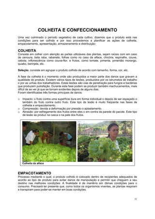 COLHEITA E CONFECCIONAMENTO
Uma vez culminado o período vegetativo de cada cultivo, dizemos que o produto está nas
condições para ser colhido e por isso procedemos a planificar as ações de colheita,
empacotamento, apresentação, armazenamento e distribuição:

COLHEITA
Consiste em colher com atenção as partes utilizáveis das plantas, sejam raízes com em caso
de cenoura, beta raba, rabanete; folhas como no caso da alface, chicória, espinafre, couve,
cebola; inflorescência como couve-flor; e frutos, como tomate, pimenta, pimentão morango,
quiabo, berinjela, etc.

Seleção, consiste em agrupar o produto colhido de acordo com tamanho, forma, cor, etc.

A fase da colheita è o momento onde são produzidos a maior parte dos danos que gravam a
qualidade do produto. Existem vários tipos de lesões, produzidos por os istrumetos de trabalho
o por as unhas dos trabalhadores. Estas lesões são vias de penetração para fungos e bactérias
que produzem putrefação. Durante esta fase podem se produzir também machucamentos, mais
difícil de se ver já que se tornam evidentes depois de alguns dias.
Foram identificadas três formas principais de danos:

o   Impacto: o fruto contra uma superfície dura em forma individual o depois de ser espaçado o
    também do fruto contra outro fruto. Este tipo de lesão è muito freqüente nas fases de
    colheita e empacotamento.
o   Compressão: devida a deformação por pressão o aplastamento.
o   Abrasão: por esfregamento dos frutos entre eles o em contra da parede do pacote. Este tipo
    de lesão se produz na casca o na pele dos frutos.




    Colheita da alface



EMPACOTAMENTO
Processo mediante o qual, o produto colhido é colocado dentro de recipientes adequados de
acordo ao tipo de produto para evitar danos de manipulação e permitir que cheguem a seu
destino nas melhores condições: A finalidade é de mantê-lo em ótimas condições para o
consumo. Precisará ter presente que, como todos os organismos viventes, as plantas respiram
e transpiram para poder-se manter em boas condições.


                                                                                            31
 