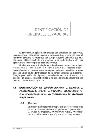 37
INS-CNSP-44
IDENTIFICACIÓN DE
PRINCIPALES LEVADURAS
La taxonomía y epítetos binomiales son decididos por consenso,
pero cuando existen desacuerdos resultan múltiples nombres para el
mismo organismo. Esto parece ser que proseguirá debido a que mu-
chas veces el teleomorfo de una levadura no es evidente, haciendo más
apropiado el nombre por su fase anamórfica.
El laboratorio de micología identifica levaduras que tienen signi-
ficancia clínica. Para lo cual se dispone de múltiples sistemas bioquí-
micos rápidos; y también se deben seguir realizando sencillas pruebas
que son útiles en la identificación tales como: observar la micromor-
fología, producción de pigmento, asimilación de carbohidratos, pro-
ducción de ureasa, susceptibilidad a la cicloheximida, desarrollo de
película, desarrollo a 37 y 42 ºC.
4.1	 IDENTIFICACIÓN DE Candida albicans, C. glabrata, C.
parapsilosis, C. krusei, C. tropicalis, Rhodotorula ru-
bra, Trichosporon spp., Geotrichum spp., Cryptococcus
neoformans.
4.1.1	 Objetivo
Describir los procedimientos para la identificación de las
cepas de Candida albicans, C. glabrata, C. parapsilosis,
C. krusei, C. tropicalis, Rhodotorula rubra., Trichospo-
ron spp., Geotrichum spp. Cryptococcus neoformans.
Manual de Procedimiento.indd 37 14/9/07 14:40:27
 