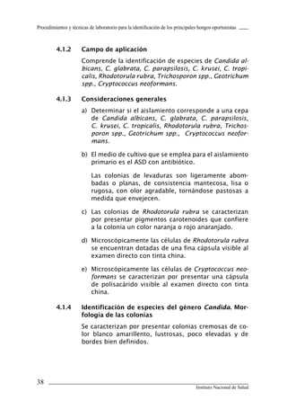 38
Instituto Nacional de Salud
Procedimientos y técnicas de laboratorio para la identificación de los principales hongos oportunistas
4.1.2	 Campo de aplicación
Comprende la identificación de especies de Candida al-
bicans, C. glabrata, C. parapsilosis, C. krusei, C. tropi-
calis, Rhodotorula rubra, Trichosporon spp., Geotrichum
spp., Cryptococcus neoformans.
4.1.3	 Consideraciones generales
a)	 Determinar si el aislamiento corresponde a una cepa
de Candida albicans, C. glabrata, C. parapsilosis,
C. krusei, C. tropicalis, Rhodotorula rubra, Trichos-
poron spp., Geotrichum spp., Cryptococcus neofor-
mans.
b)	 El medio de cultivo que se emplea para el aislamiento
primario es el ASD con antibiótico.
Las colonias de levaduras son ligeramente abom-
badas o planas, de consistencia mantecosa, lisa o
rugosa, con olor agradable, tornándose pastosas a
medida que envejecen.
c)	 Las colonias de Rhodotorula rubra se caracterizan
por presentar pigmentos carotenoides que confiere
a la colonia un color naranja o rojo anaranjado.
d)	 Microscópicamente las células de Rhodotorula rubra
se encuentran dotadas de una fina cápsula visible al
examen directo con tinta china.
e)	 Microscópicamente las células de Cryptococcus neo-
formans se caracterizan por presentar una cápsula
de polisacárido visible al examen directo con tinta
china.
4.1.4	 Identificación de especies del género Candida. Mor-
fología de las colonias
Se caracterizan por presentar colonias cremosas de co-
lor blanco amarillento, lustrosas, poco elevadas y de
bordes bien definidos.
Manual de Procedimiento.indd 38 14/9/07 14:40:27
 