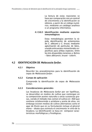 56
Instituto Nacional de Salud
Procedimientos y técnicas de laboratorio para la identificación de los principales hongos oportunistas
La lectura de estas reacciones se
hace por comparación con un control
de crecimiento y la identificación se
obtiene, a partir de un código numé-
rico, mediante un catálogo analítico
o un programa informático.
4.1.9.8.3	 Identificación mediante aspectos
inmunológicos
Estas metodologías permiten la rá-
pida identificación de aislamientos
de C. albicans y C. krusei, mediante
aglutinación de partículas de látex,
usando anticuerpos monoclonales es-
pecíficos para ambas especies. Entre
los kits disponibles tenemos a: Bichro
– látex albicans, krusei - color.
4.2	 IDENTIFICACIÓN DE Malassezia furfur.
4.2.1	 Objetivo
Describir los procedimientos para la identificación de
cepas de Malassezia furfur.
4.2.2	 Campo de aplicación
Comprende la identificación de cepas de Malassezia
furfur.
4.2.3	 Consideraciones generales
Las levaduras de Malassezia furfur por ser lipofílicas,
se desarrollan en medios de cultivo que contengan en
su composición aceites naturales u otras sustancias gra-
sas, siendo el método más común el cultivo en ASD que
contiene cicloheximide o actidione y aceite de oliva, sin
embargo existen medios de cultivo alternativos como el
agar de Dixón que en su formulación incluye al glicerol
mono – oleato que estimula el crecimiento in vitro de la
levadura. La identificación se basa en comparar carac-
terísticas morfológicas y fisiológicas.
Manual de Procedimiento.indd 56 14/9/07 14:40:52
 