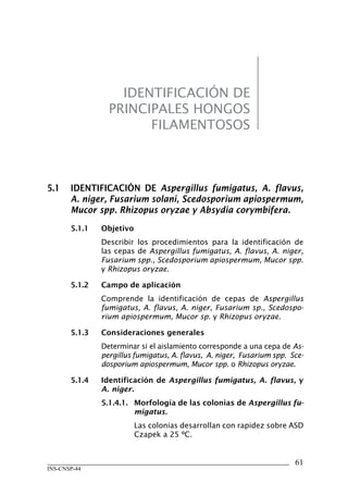 61
INS-CNSP-44
IDENTIFICACIÓN DE
PRINCIPALES HONGOS
FILAMENTOSOS
5.1	 IDENTIFICACIÓN DE Aspergillus fumigatus, A. flavus,
A. niger, Fusarium solani, Scedosporium apiospermum,
Mucor spp. Rhizopus oryzae y Absydia corymbifera.
5.1.1	 Objetivo
Describir los procedimientos para la identificación de
las cepas de Aspergillus fumigatus, A. flavus, A. niger,
Fusarium spp., Scedosporium apiospermum, Mucor spp.
y Rhizopus oryzae.
5.1.2	 Campo de aplicación
Comprende la identificación de cepas de Aspergillus
fumigatus, A. flavus, A. niger, Fusarium sp., Scedospo-
rium apiospermum, Mucor sp. y Rhizopus oryzae.
5.1.3	 Consideraciones generales
Determinar si el aislamiento corresponde a una cepa de As-
pergillus fumigatus, A. flavus, A. niger, Fusarium spp. Sce-
dosporium apiospermum, Mucor spp. o Rhizopus oryzae.
5.1.4	 Identificación de Aspergillus fumigatus, A. flavus, y
A. niger.
5.1.4.1.	 Morfología de las colonias de Aspergillus fu-
migatus.
Las colonias desarrollan con rapidez sobre ASD
Czapek a 25 ºC.
Manual de Procedimiento.indd 61 14/9/07 14:40:53
 