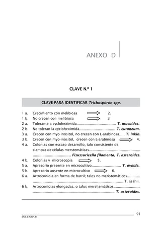 91
INS-CNSP-44
ANEXO D
CLAVE N.º 1
CLAVE PARA IDENTIFICAR Trichosporon spp.
1 a.	 Crecimiento con melibiosa 2.
1 b.	 No crecen con melibiosa 3
2 a.	 Tolerante a cycloheximida.................................... T. mucoides.
2 b.	 No toleran la cycloheximida................................. T. cutaneum.
3 a.	 Crecen con myo-inositol, no crecen con L-arabinosa..... T. inkin.
3 b.	 Crecen con myo-inositol, crecen con L-arabinosa 4.
4 a.	 Colonias con escaso desarrollo, talo consistente de
	 clampas de células merstemáticas...............................................
	 ................................... Fisussuricella filamenta, T. asteroides.
4 b.	 Colonias y microscopía	 	 5.
5 a.	 Apresorio presente en microcultivo........................... T. ovoide.
5 b.	 Apresorio ausente en microcultivo 6.
6 a.	 Artroconidia en forma de barril; talos no meristemáticos............
	 ................................................................................... T. asahii.
6 b.	 Artroconidias elongadas, o talos mersitemáticos........................
	 ........................................................................... T. asteroides.
Manual de Procedimiento.indd 91 14/9/07 14:41:07
 