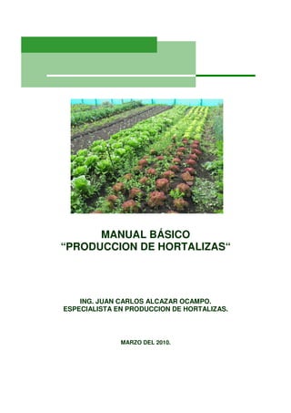 MANUAL BÁSICO
“PRODUCCION DE HORTALIZAS“




    ING. JUAN CARLOS ALCAZAR OCAMPO.
ESPECIALISTA EN PRODUCCION DE HORTALIZAS.



              MARZO DEL 2010.
 