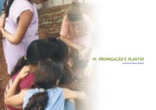 VI. PROPAGAÇÃO E PLANTIO
Juscelino Nobuo Shiraki
 