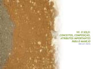 35
Capitulo VII - O solo: conceitos, composição, atributos importantes para o manejo
VII. O SOLO:
CONCEITOS, COMPOSIÇÃO,
ATRIBUTOS IMPORTANTES
PARA O MANEJO
Adão Luiz C. Martins
 