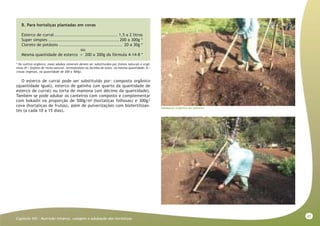 47
Capitulo VIII - Nutrição mineral, calagem e adubação das hortaliças
B. Para hortaliças plantadas em covas
Esterco de curral ......................................... 1,5 a 2 litros
Super simples ..............................................200 a 300g *
Cloreto de potássio ......................................... 20 a 30g *
ou
Mesma quantidade de esterco + 200 a 300g da fórmula 4-14-8 *
* No cultivo orgânico, esses adubos minerais devem ser substituídos por fontes naturais e orgâ-
nicas (P = fosfato de rocha natural, termofosfato ou farinha de ossos, na mesma quantidade; K =
cinzas vegetais, na quantidade de 200 a 500g).
O esterco de curral pode ser substituído por: composto orgânico
(quantidade igual), esterco de galinha (um quarto da quantidade de
esterco de curral) ou torta de mamona (um décimo da quantidade).
Também se pode adubar os canteiros com composto e complementar
com bokashi na proporção de 500g/m2
(hortaliças folhosas) e 300g/
cova (hortaliças de frutos), além de pulverizações com biofertilizan-
tes (a cada 10 a 15 dias).
Adubação orgânica do canteiro
 
