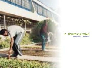53
Capitulo X - Tratos culturais
X. TRATOS CULTURAIS
Helen Elisa C. R. Bevilacqua
 