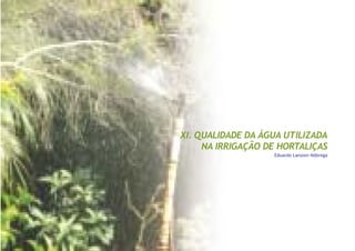 XI. QUALIDADE DA ÁGUA UTILIZADA
NA IRRIGAÇÃO DE HORTALIÇAS
Eduardo Lanzoni Nóbrega
 