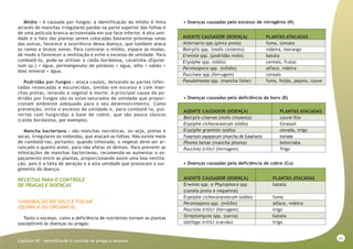 65
Capitulo XII - Identificação e controle de pragas e doenças
Míldio - é causada por fungos; a identificação do míldio é feita
através de manchas irregulares pardas na parte superior das folhas e
de uma película branca-acinzentada em sua face inferior. A alta umi-
dade e o fato das plantas serem colocadas bastante próximas umas
das outras, favorece a ocorrência dessa doença, que também ataca
os ramos e brotos novos. Para controlar o míldio, espace as mudas,
de modo a favorecer a ventilação e evite o excesso de umidade. Para
combatê-lo, pode-se utilizar a calda bordalesa, cavalinha (Equise-
tum sp.) + água, permanganato de potássio + água, alho + sabão +
óleo mineral + água.
Podridão por fungos - ataca caules, deixando as partes infec-
tadas ressecadas e escurecidas, úmidas em excesso e com man-
chas pretas, levando o vegetal à morte. A principal causa da po-
dridão por fungos são os solos saturados de umidade que propor-
cionam ambiente adequado para o seu desenvolvimento. Como
prevenção, evite o excesso de umidade e, para combatê-la, pul-
verize com fungicidas a base de cobre, que são pouco tóxicos
(calda bordalesa, por exemplo).
Mancha bacteriana - são manchas necróticas, ou seja, pretas e
secas, irregulares ou redondas, que atacam as folhas. Não existe meio
de combatê-las, portanto, quando infestado, o vegetal deve ser ar-
rancado o quanto antes, para não afetar os demais. Para prevenir as
infestações de manchas bacterianas, recomenda-se aumentar o es-
paçamento entre as plantas, proporcionando assim uma boa ventila-
ção, pois é a falta de aeração e a alta umidade que provocam o sur-
gimento da doença.
RECEITAS PARA O CONTROLE
DE PRAGAS E DOENÇAS
1)ADUBAÇÃO DO SOLO E FOLIAR
(QUÍMICA OU ORGÂNICA)
Tanto o excesso, como a deficiência de nutrientes tornam as plantas
susceptíveis às doenças ou pragas:
AGENTE CAUSADOR (DOENÇA) PLANTAS ATACADAS
Botrytis cinerea (mofo cinzento) couve-flor
Erysiphe cichoracearum (oídio) Girassol
Erysiphe graminis (oídio) cevada, trigo
Fusarium oxysporum (murcha de fusarium) tomate
Phoma betae (mancha phoma) beterraba
Puccinia tritici (ferrugem) Trigo
AGENTE CAUSADOR (DOENÇA) PLANTAS ATACADAS
Erwinia spp. e Phytophora spp. batata
(canela preta e requeima)
Erysiphe cichororacearum (oídio) fumo
Peronospora spp. (míldio) alface, videira
Puccinia tritici (ferrugem) trigo
Streptomyces spp. (sarna) batata
Ustilago tritici (carvão) trigo
• Doenças causadas pelo excesso de nitrogênio (N)
• Doenças causadas pela deficiência de cobre (Cu)
• Doenças causadas pela deficiência de boro (B)
AGENTE CAUSADOR (DOENÇA) PLANTAS ATACADAS
Alternaria spp.(pinta preta) fumo, tomate
Botrytis spp. (mofo cinzento) videira, morango
Erwinia spp. (podridão mole) batata
Erysiphe spp. (oídio) cereais, frutas
Peronospora spp. (míldio) alface, videira
Puccinea spp.(ferrugem) cereais
Pseudomonas spp. (mancha foliar) fumo, feijão, pepino, couve
 