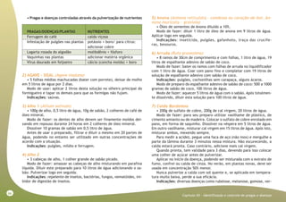 66
Capitulo XII - Identificação e controle de pragas e doenças
• Pragas e doenças controladas através da pulverização de nutrientes
PRAGAS/DOENÇAS/PLANTAS NUTRIENTES
Ferrugem do café calda viçosa
Infestação de pulgões nas plantas potássio + boro/ para citrus:
adicionar cobre
Lagarta rosada do algodão molibdênio + fósforo
Vaquinhas nas plantas adicionar matéria orgânica
Vírus dourado em feijoeiro cálcio (concha moída) + boro
2) AGAVE – SISAL (Agave sisalana)
• 5 folhas médias machucadas (bater com porrete), deixar de molho
em 5 litros de água por 2 dias.
Modo de usar: aplicar 2 litros desta solução no olheiro principal do
formigueiro e tapar os demais para que as formigas não fujam.
Indicações: saúvas.
3) Alho 1 (Allium sativum)
• 100g de alho, 0,5 litro de água, 10g de sabão, 2 colheres de café de
óleo mineral.
Modo de fazer: os dentes de alho devem ser finamente moídos dei-
xando em repouso durante 24 horas em 2 colheres de óleo mineral.
Dissolver 10 gramas de sabão em 0,5 litro de água.
Antes de usar o preparado, filtrar e diluir o mesmo em 20 partes de
água, podendo no entanto ser utilizado em outras concentrações de
acordo com a situação.
Indicações: pulgões, míldio e ferrugem.
4) Alho 2
• 3 cabeças de alho, 1 colher grande de sabão picado.
Modo de fazer: amassar as cabeças de alho misturando em parafina
líquida. Diluir este preparado para 10 litros de água adicionando o sa-
bão. Pulverizar logo em seguida.
Indicações: repelente de insetos, bactérias, fungos, nematóides, ini-
bidor de digestão de insetos.
5) Anona (Annona reticulata - condessa ou coração-de-boi, An-
nona muricata - graviola)
• Óleo de sementes de Anona diluído a 10%.
Modo de fazer: diluir 1 litro de óleo de anona em 9 litros de água.
Aplicar logo em seguida.
Indicações: inseticida, pulgões, gafanhoto, traça das crucífe-
ras, besouros.
6) Arruda (Ruta graveolens)
• 8 ramos de 30cm de comprimento e com folhas, 1 litro de água, 19
litros de espalhante adesivo de sabão de coco.
Modo de fazer: bater os ramos com folhas de arruda no liquidificador
com 1 litro de água. Coar com pano fino e completar com 19 litros de
solução de espalhante adesivo com sabão de coco.
Indicações: pulgões, cochonilhas sem carapaça, alguns ácaros.
Modo de preparo do espalhante adesivo de sabão de coco: 500 a 1000
gramas de sabão de coco, 100 litros de água.
Modo de fazer: aquecer 5 litros de água com o sabão. Após totalmen-
te dissolvido, diluir esta solução para 100 litros de água.
7) Calda Bordalesa
• 200g de sulfato de cobre, 200g de cal virgem, 20 litros de água.
Modo de fazer: para seu preparo utilizar vasilhame de plástico, de
cimento amianto ou de madeira. Colocar o sulfato de cobre enrolado em
pano, em forma de saquinho. Dissolver na véspera em 5 litros de água.
Em outro vasilhame, misturar cal virgem em 15 litros de água. Após isto,
misturar ambos, mexendo sempre.
Para medir a acidez, pegue uma faca de aço (não inox) e mergulhe a
parte da lâmina durante 3 minutos nessa mistura. Não escurecendo, a
calda estará pronta. Caso contrário, adicione mais cal virgem.
Quando pronta, tem validade para 3 dias, devendo para isso colocar
uma colher de açúcar antes de pulverizar.
Aplicar no início da doença, podendo ser misturada com o extrato de
fumo, confrei ou calda de cinza. No verão, em plantas novas, deve ser
usada em concentração 50% menor.
Nunca pulverize a calda com sol quente e, se aplicada em tempera-
tura muito baixa, perde a sua eficácia.
Indicações: diversas doenças como rubelose, melanose, gomose, ver-
 