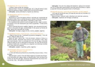 70
Capitulo XII - Identificação e controle de pragas e doenças
35) Mamona (Ricinus Communis)
• folhas e talos verdes de mamona
Modo de fazer: triturar no liquidificador, de 1 a 2kg de folhas e talos
verdes de mamona na água e depois diluir em 20 litros de água.
Indicações: saúvas (introduzir o líquido nos olheiros).
36) Manipueira (Manihot esculenta)
• mandioca crua
Manipueira é o suco de aspecto leitoso, extraído por compressão da
mandioca ralada. Para o controle da saúva, utilizar 2 litros de manipuei-
ra no formigueiro para cada olheiro, repetindo a cada 5 dias.
Em tratamento de canteiro contra pragas de solo, regar o cantei-
ro usando 4 litros de manipueira por metro quadrado, 15 dias antes
do plantio.
Para o controle de ácaros, pulgões, lagartas, usar uma parte de mani-
pueira e uma parte de água, acrescentado 1% de açúcar ou farinha de
trigo. Aplicar em intervalos de 14 dias.
Indicações: formigas, pragas de solo, ácaros, pulgões, lagartas.
37) Pimenta e fumo (Capsicum spp. e Nicotiana tabacum)
• 50g de fumo de rolo, 1 punhado de pimenta malagueta, 1 litro de
álcool, 250g de sabão em pó.
Modo de fazer: dentro de 1 litro de álcool, colocar o fumo e a
pimenta picados, deixando essa mistura curtir durante 7 dias. Para
usar essa solução, diluir o conteúdo em 10 litros de água contendo
250g de sabão em pó ou detergente dissolvido. No caso de hortaliças
e plantas medicinais, aconselha-se a respeitar um intervalo mínimo
de 12 dias antes da colheita.
Indicações: pulgões, vaquinhas, grilos, lagartas.
38) Primavera (Bougainvilea spectabilis)
Maravilha (Mirabilis jalapa)
• 1 litro de folhas de primavera ou maravilha (rosa ou roxa), 1 litro
de água.
Modo de fazer: juntar 1 litro de folhas maduras e lavadas de primave-
ra ou maravilha com a água e bater no liquidificador. Coar com pano fino
e diluir em 20 litros de água. Pulverize imediatamente (nas horas fres-
cas do dia). Obs.: não pode ser armazenado.
Indicações: vírus do vira-cabeça do tomateiro. Aplicar em tomatei-
ros 10 a 15 dias após a germinação (com dois pares de folhas) e repetir
a cada 48/72 horas até quando iniciar a frutificação.
39) Farinha de osso, casca de ovo triturado, carvão vegetal
• 0,5 copo de farinha de osso, 0,5 copo de casca de ovo triturado, 0,5
copo de carvão moído.
Modo de fazer: misturar tudo e distribuir em volta dos canteiros.
Indicações: repelente de formigas cortadeiras.
 