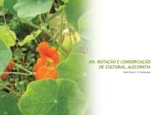 XIII. ROTAÇÃO E CONSORCIAÇÃO
DE CULTURAS, ALELOPATIA
Helen Elisa C. R. Bevilacqua
 