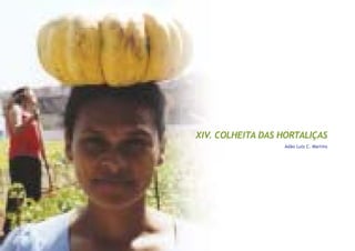 77
Capitulo XIV - Colheita das hortaliças
XIV. COLHEITA DAS HORTALIÇAS
Adão Luiz C. Martins
 