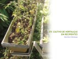 79
Capitulo XV - Cultivo de hortaliças em recipientes
XV. CULTIVO DE HORTALIÇAS
EM RECIPIENTES
Helen Elisa C.R.Bevilacqua
 