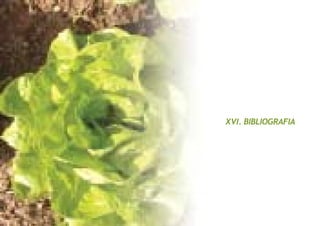 XVI. BIBLIOGRAFIA
 