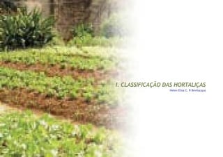 I. CLASSIFICAÇÃO DAS HORTALIÇAS
Helen Elisa C. R Bevilacqua
 