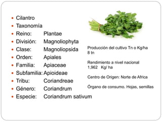 Manual horticola | PPTX