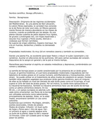 17Curso-taller: “El Huerto Medicinal” - Apuntes y pequeño manual de plantas medicinales
BORRAJA
Nombre científico: Borago officinalis L.
Familia: Boraginacea
Descripción: Originaria de las regiones occidentales
del Mediterráneo. Es una planta de fácil ubicación,
la cubren fibras espinadas, la variedad mas conocida
es la de flores de color azul cielo, en México general-
mente florece de manera abundante en los meses de
invierno, cuando es preferida por los abejas. Es una
planta robusta cubierta de pelos ásperos muy rígidos,
de gruesa y prolongada raíz, con hojas esparcidas y
oscuras muy rugosas y flores azules, blancas o
violáceas que forman ramilletes.
Se supone de origen atlántico, hispano-marroquí. Se
cría en huertas, barbechos y baldíos no demasiado
secos.
Propiedades medicinales: Es muy útil en remedios caseros y también es comestible .
Siendo una planta fría, es excelente para bajar fiebre y inducir el sudor (sarampión y es-
carlatina). Auxiliar en afecciones de los pulmones. Útil para calmar punzadas del corazón.
Depurativo de la sangre en general y de la piel al mismo tiempo.
Maravillosa para levantar el espíritu en estados melacólicos y depresivos, combinándola con
romero y estafiate..
La semilla de borraja posee un aceite caracterizado por la presencia de un ácido graso
inusual, el gamma-linolénico, el cual tiene propiedades medicinales (reguladoras del me-
tabolismo de ácidos grasos en el cuerpo humano, antinflamatorias y tranquilizantes, entre
otras). Se puede utilizar en el tratamiento de altos niveles de colesterol en sangre. Existen
también otras especies vegetales que producen ácido gamma-linolénico, pero en ninguna
de ellas se ha hallado un nivel tan elevado de este ácido graso como en la borraja, el cual
supera el 25% del total de ácidos grasos. Por tal motivo, su aceite tiene aplicaciones en
la industrial farmacéutica. También la industria alimenticia hace uso del aceite de borraja
como un aditivo alimenticio dietario. En los
EE.UU., y en países europeos es además culti-
vada como ornamental. Las flores de la borraja
son utilizadas asimismo como saborizantes,
principalmente de bebidas. Estas, en la edad
media, encontraron también un uso como
colorante.
Sustancias que contiene: Mucílagos, almidón,
aceites escenciales, nitrato de potasio
Modos de empleo: Infusión: Un buen puño
de hojas y flores para 1 litro de agua. Her-
vir primero el agua y cuando apague eche
un puño de la planta, tapar la olla y esperar
10 minutos. Colar con cuidado para no dejar
pasar los pelitos
 