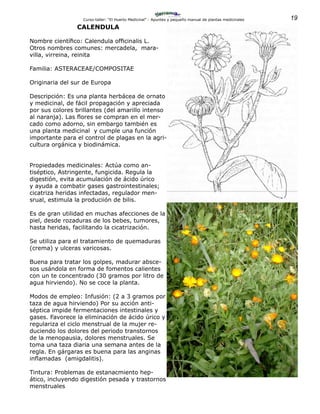 19Curso-taller: “El Huerto Medicinal” - Apuntes y pequeño manual de plantas medicinales
CALENDULA
Nombre científico: Calendula officinalis L.
Otros nombres comunes: mercadela, mara-
villa, virreina, reinita
Familia: ASTERACEAE/COMPOSITAE
Originaria del sur de Europa
Descripción: Es una planta herbácea de ornato
y medicinal, de fácil propagación y apreciada
por sus colores brillantes (del amarillo intenso
al naranja). Las flores se compran en el mer-
cado como adorno, sin embargo también es
una planta medicinal y cumple una función
importante para el control de plagas en la agri-
cultura orgánica y biodinámica.
Propiedades medicinales: Actúa como an-
tiséptico, Astringente, fungicida. Regula la
digestión, evita acumulación de ácido úrico
y ayuda a combatir gases gastrointestinales;
cicatriza heridas infectadas, regulador men-
srual, estimula la produciión de bilis.
Es de gran utilidad en muchas afecciones de la
piel, desde rozaduras de los bebes, tumores,
hasta heridas, facilitando la cicatrización.
Se utiliza para el tratamiento de quemaduras
(crema) y ulceras varicosas.
Buena para tratar los golpes, madurar absce-
sos usándola en forma de fomentos calientes
con un te concentrado (30 gramos por litro de
agua hirviendo). No se coce la planta.
Modos de empleo: Infusión: (2 a 3 gramos por
taza de agua hirviendo) Por su acción anti-
séptica impide fermentaciones intestinales y
gases. Favorece la eliminación de ácido úrico y
regulariza el ciclo menstrual de la mujer re-
duciendo los dolores del periodo transtornos
de la menopausia, dolores menstruales. Se
toma una taza diaria una semana antes de la
regla. En gárgaras es buena para las anginas
inflamadas (amigdalitis).
Tintura: Problemas de estanacmiento hep-
ático, incluyendo digestión pesada y trastornos
menstruales
 