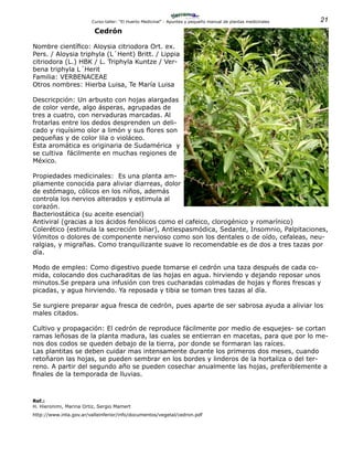 21Curso-taller: “El Huerto Medicinal” - Apuntes y pequeño manual de plantas medicinales
Cedrón
Nombre científico: Aloysia citriodora Ort. ex.
Pers. / Aloysia triphyla (L´Hent) Britt. / Lippia
citriodora (L.) HBK / L. Triphyla Kuntze / Ver-
bena triphyla L´Herit
Familia: VERBENACEAE
Otros nombres: Hierba Luisa, Te María Luisa
Descricpción: Un arbusto con hojas alargadas
de color verde, algo ásperas, agrupadas de
tres a cuatro, con nervaduras marcadas. Al
frotarlas entre los dedos desprenden un deli-
cado y riquísimo olor a limón y sus flores son
pequeñas y de color lila o violáceo.
Esta aromática es originaria de Sudamérica y
se cultiva fácilmente en muchas regiones de
México.
Propiedades medicinales: Es una planta am-
pliamente conocida para aliviar diarreas, dolor
de estómago, cólicos en los niños, además
controla los nervios alterados y estimula al
corazón.
Bacteriostática (su aceite esencial)
Antiviral (gracias a los ácidos fenólicos como el cafeico, clorogénico y romarínico)
Colerético (estimula la secreción biliar), Antiespasmódica, Sedante, Insomnio, Palpitaciones,
Vómitos o dolores de componente nervioso como son los dentales o de oído, cefaleas, neu-
ralgias, y migrañas. Como tranquilizante suave lo recomendable es de dos a tres tazas por
día.
Modo de empleo: Como digestivo puede tomarse el cedrón una taza después de cada co-
mida, colocando dos cucharaditas de las hojas en agua. hirviendo y dejando reposar unos
minutos.Se prepara una infusión con tres cucharadas colmadas de hojas y flores frescas y
picadas, y agua hirviendo. Ya reposada y tibia se toman tres tazas al día.
Se surgiere preparar agua fresca de cedrón, pues aparte de ser sabrosa ayuda a aliviar los
males citados.
Cultivo y propagación: El cedrón de reproduce fácilmente por medio de esquejes- se cortan
ramas leñosas de la planta madura, las cuales se entierran en macetas, para que por lo me-
nos dos codos se queden debajo de la tierra, por donde se formaran las raíces.
Las plantitas se deben cuidar mas intensamente durante los primeros dos meses, cuando
retoñaron las hojas, se pueden sembrar en los bordes y linderos de la hortaliza o del ter-
reno. A partir del segundo año se pueden cosechar anualmente las hojas, preferiblemente a
finales de la temporada de lluvias.
Ref.:
H. Hieronimi, Marina Ortiz, Sergio Mamert
http://www.inta.gov.ar/valleinferior/info/documentos/vegetal/cedron.pdf
 