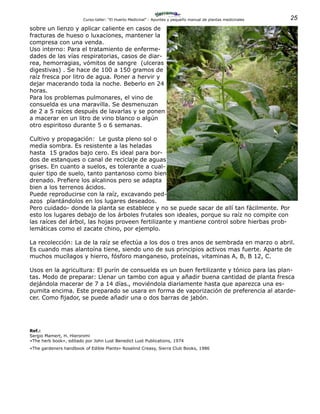 25Curso-taller: “El Huerto Medicinal” - Apuntes y pequeño manual de plantas medicinales
sobre un lienzo y aplicar caliente en casos de
fracturas de hueso o luxaciones, mantener la
compresa con una venda.
Uso interno: Para el tratamiento de enferme-
dades de las vías respiratorias, casos de diar-
rea, hemorragias, vómitos de sangre (ulceras
digestivas) . Se hace de 100 a 150 gramos de
raíz fresca por litro de agua. Poner a hervir y
dejar macerando toda la noche. Beberlo en 24
horas.
Para los problemas pulmonares, el vino de
consuelda es una maravilla. Se desmenuzan
de 2 a 5 raíces después de lavarlas y se ponen
a macerar en un litro de vino blanco o algún
otro espiritoso durante 5 o 6 semanas.
Cultivo y propagación: Le gusta pleno sol o
media sombra. Es resistente a las heladas
hasta 15 grados bajo cero. Es ideal para bor-
dos de estanques o canal de reciclaje de aguas
grises. En cuanto a suelos, es tolerante a cual-
quier tipo de suelo, tanto pantanoso como bien
drenado. Prefiere los alcalinos pero se adapta
bien a los terrenos ácidos.
Puede reproducirse con la raíz, excavando ped-
azos plantándolos en los lugares deseados.
Pero cuidado- donde la planta se establece y no se puede sacar de allí tan fácilmente. Por
esto los lugares debajo de los árboles frutales son ideales, porque su raíz no compite con
las raíces del árbol, las hojas proveen fertilizante y mantiene control sobre hierbas prob-
lemáticas como el zacate chino, por ejemplo.
La recolección: La de la raíz se efectúa a los dos o tres anos de sembrada en marzo o abril.
Es cuando mas alantoína tiene, siendo uno de sus principios activos mas fuerte. Aparte de
muchos mucílagos y hierro, fósforo manganeso, proteínas, vitaminas A, B, B 12, C.
Usos en la agricultura: El purín de consuelda es un buen fertilizante y tónico para las plan-
tas. Modo de preparar: Llenar un tambo con agua y añadir buena cantidad de planta fresca
dejándola macerar de 7 a 14 días., moviéndola diariamente hasta que aparezca una es-
pumita encima. Este preparado se usara en forma de vaporización de preferencia al atarde-
cer. Como fijador, se puede añadir una o dos barras de jabón.
Ref.:
Sergio Mamert, H. Hieronimi
«The herb book», editado por John Lust Benedict Lust Publications, 1974
«The gardeners handbook of Edible Plants» Rosalind Creasy, Sierra Club Books, 1986
 
