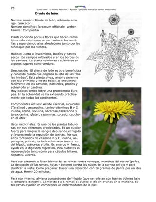 26 Curso-taller: “El Huerto Medicinal” - Apuntes y pequeño manual de plantas medicinales
Diente de león
Nombre común: Diente de león, achicoria ama-
rga, taraxacón
Nombre científico: Taraxcum officinale Weber
Familia: Compositae
Planta conocida por sus flores que hacen ramil-
letes redondos donde se van volando las semi-
llas y esparciendo a los alrededores tanto por los
niños que por los vientos.
Hábitat: Junto a los caminos, baldíos y pastos
secos. En campos cultivados y en los bordes de
los caminos. La planta comienza a cultivarse en
algunos lugares como verdura.
Descripción: El diente de león es otra beneficiosa
y conocida planta que engrosa la lista de las “ma-
las hierbas”. Esta planta vivaz, anual y perenne
con raíz primaria y roseta basal, se encuentra
fácilmente en los caminos, pastizales, prados y
sobre todo en jardines.
Hay indicios serios sobre una procedencia Euro-
pea. En la actualidad se ha extendido práctica-
mente por todos los continentes.
Componentes activos: Aceite esencial, alcaloides
(Taraxina) , asparagina, tanino,vitaminas B y C,
inulina, colina, levulina, sacarosa, taraxecina y
taraxacerina, gluten, saponinas, potasio, caucho-
en el látex
Usos medicinales: Es una de las plantas fabulo-
sas por sus diferentes propiedades. Es un auxiliar
fuerte para limpiar la sangre depurando el hígado
y favoreciendo la expulsión de toxinas. Por sus
altos contenidos de vitamina B y C, inulina, as-
paragina, potasio, es indicadísima en trastornos
del hígado, páncreas y bilis. Es amargo y fresco,
ayuda en la digestion digestión. Para diabetes es
recomendado tanto como para cálculos biliares,
hepatitis, ulceras.
Para uso externo: el látex blanco de las ramas contra verrugas, manchas del rostro (paño).
La decocción de las ramas, hojas y botones contra las nubes de la cornea del ojo y para
clarificar la vista. Como preparar: Hacer una decocción con 50 gramos de planta por un litro
de agua. Hervir 20 minutos.
Para uso interno: aliviana congestiones del hígado (que se reflejan con fuertes dolores bajo
el omoplato derecho). Comer de 5 a 6 ramas de planta al día en ayunas en la mañana. Es-
tas ramas ayudan en comezones de enfermedades de la piel.
 