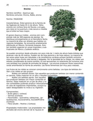 28 Curso-taller: “El Huerto Medicinal” - Apuntes y pequeño manual de plantas medicinales
Encino
Nombre científico : Quercus spp.
Nombres comunes: Encino, Roble, encina
Familia: FAGACEAE
Características: Árbol perenne de la familia de
las fagáceas de hasta 45 m de altura. Tallos
erectos con corteza llena de fisuras y arrugas,
gris clara en la juventud y más oscura a medida
que el árbol se hace mayor.
El genero Quercus (robles , encinos etc) com-
prende màs de 300 especies de plantas. Se
distribuye principalmente en el Hemisferio Norte.
La mayoría de ellas son árboles que habitan en
regiones templadas. Se encuentra ampliamente
distribuido en México, formando bosques. Exis-
ten también especies en zonas tropicales y sub-
tropicales de Méxco y Sudeste asiático.
Se pueden encontrar desde arbustos con poco más de 1 metro de altura hasta árboles que
alcanzan más de 40 metros. Pueden ser de hoja perenne o de hoja caduca. La mayoría de
las veces estas hojas son lobuladas y de consistencia coriácea aunque también encontra-
mos otras hojas mucho más tiernas y delgadas. Por la densidad de su follaje, los robles son
árboles considerados de buena sombra, la cual aprovechan no solamente los humanos sino
una cantidad muy grande de animales de bosque. Los encinos producen flores masculinas
verde amarillentas en forma de amentos. Las flores femeninas son muy poco vistosas.
Los frutos de los robles se conocen comúnmente como bellotas. Los tipos de bellotas div-
iden a los robles en dos grupos:
–	 Robles con bellotas dulces: Son aquellos que producen bellotas con menor contenido
en taninos. Estas maduran en un año y resultan comestibles.
–	 Robles con bellotas agrias: Son aquellos
que producen bellotas con mayor contenido en
taninos. Estas maduran en un par de años y no
son comestibles pudiendo producir intoxicaciones
en caso de ingestiones importantes, aunque su
sabor desagradable no incita a su ingestión.
Componentes:
- Ácido gálico ( corteza)
- Taninos (Corteza)
- Flavonoides : quercetina, catequinas , ga-
locatequinas, leucocianidina, leucodelfinidina
(Corteza)
- Fibra soluble : Pectina ( Corteza)
Propiedades medicinales: Las propiedades me-
dicinales del encino derivan de la riqueza en
 